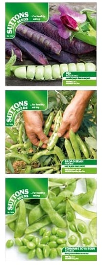 New products on the Pea and Bean Stand