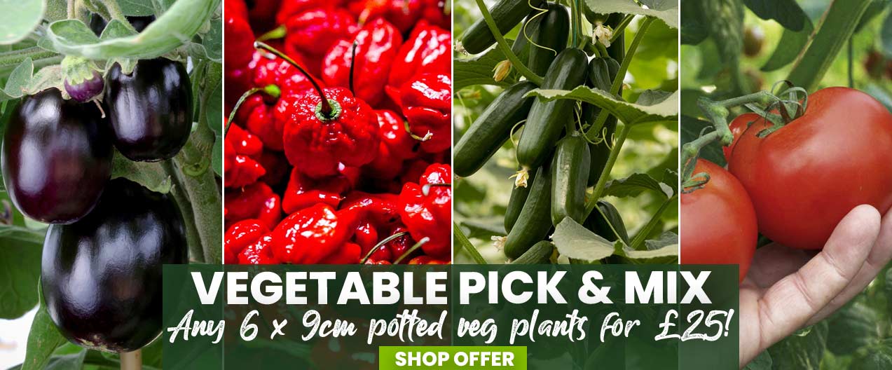 Vegetable Pick & Mix