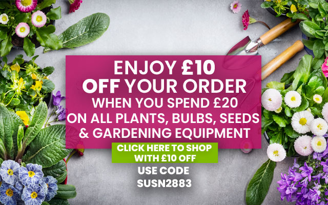 £10 off £20