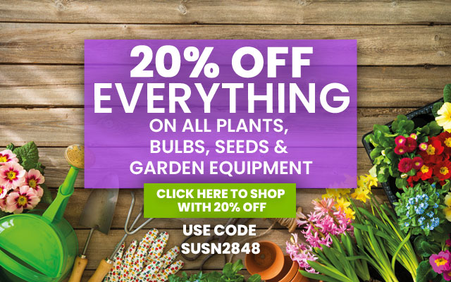 20% OFF