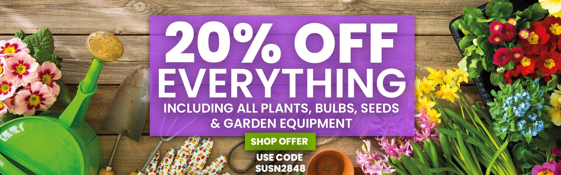 20% OFF