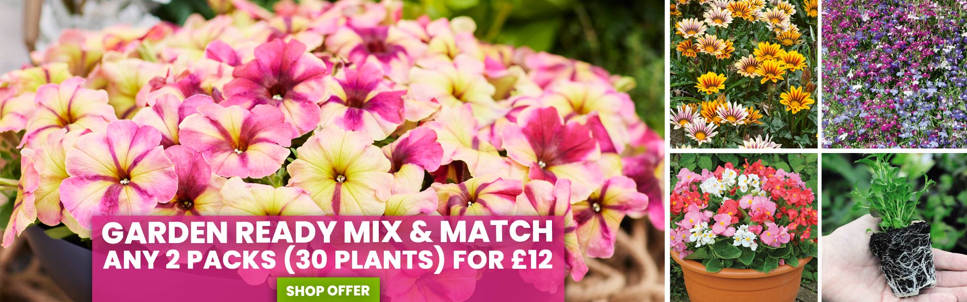Mix & Match Garden Ready