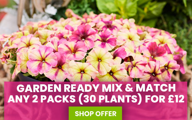 Mix & Match Garden Ready