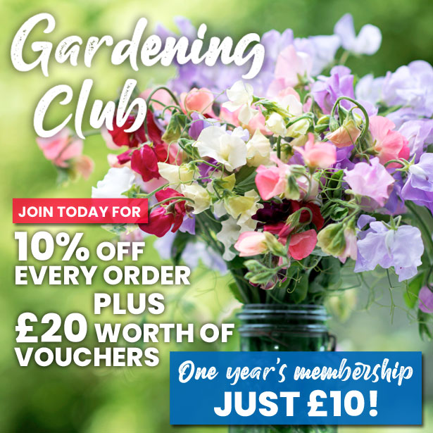 Gardening Club