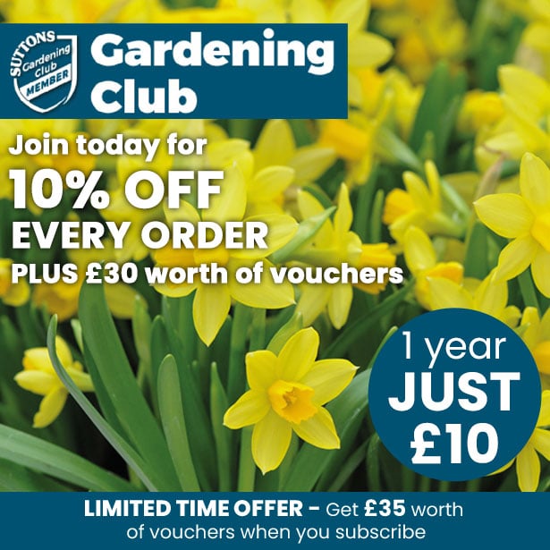 Gardening Club