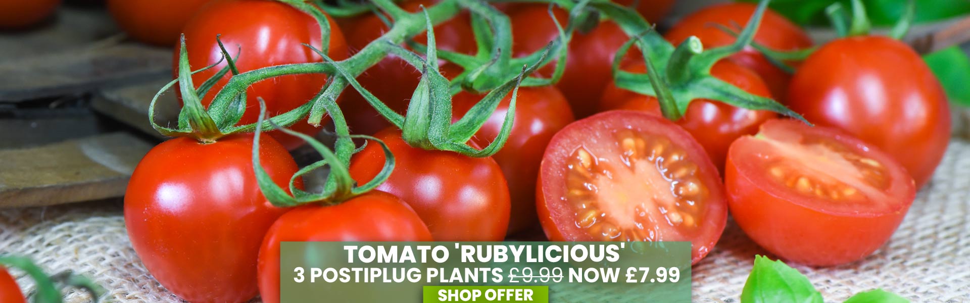 Tomato 'Rubylicious'