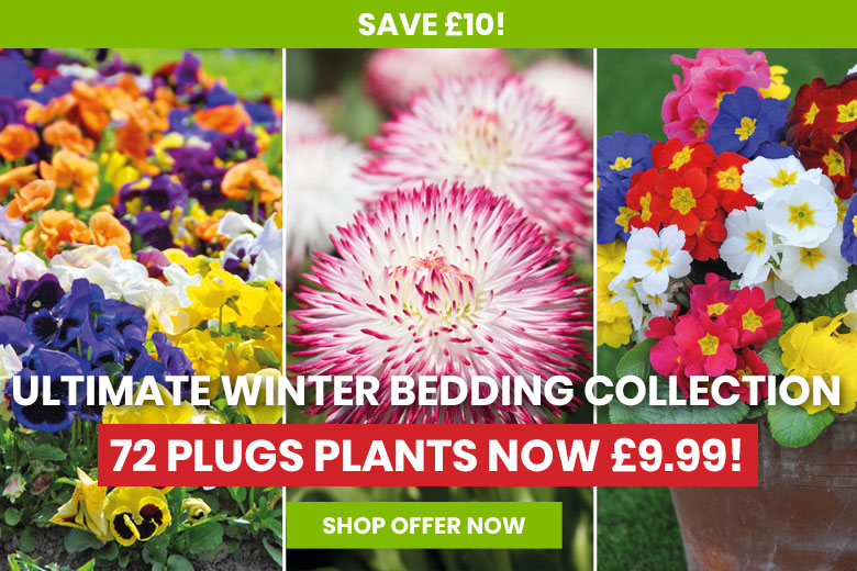 Ultimate Winter Bedding Collection