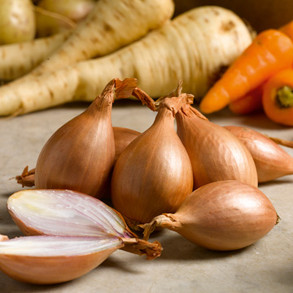View All Onions & Shallots