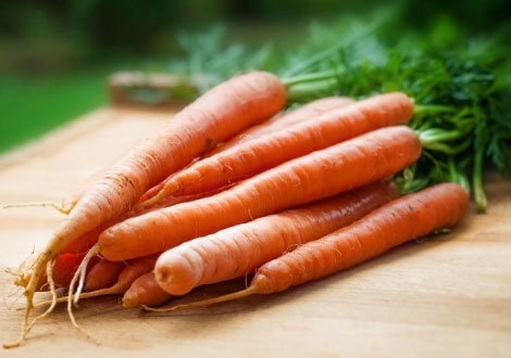 Carrot Seeds
