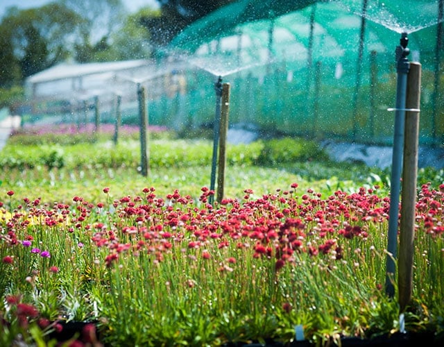 Suttons Sustainability