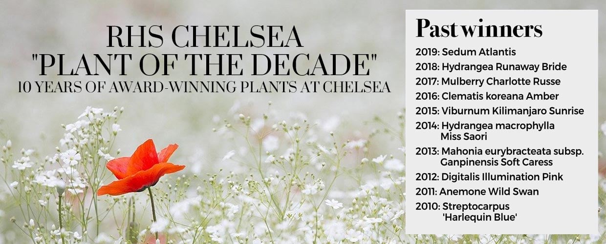 RHS Chelsea Page