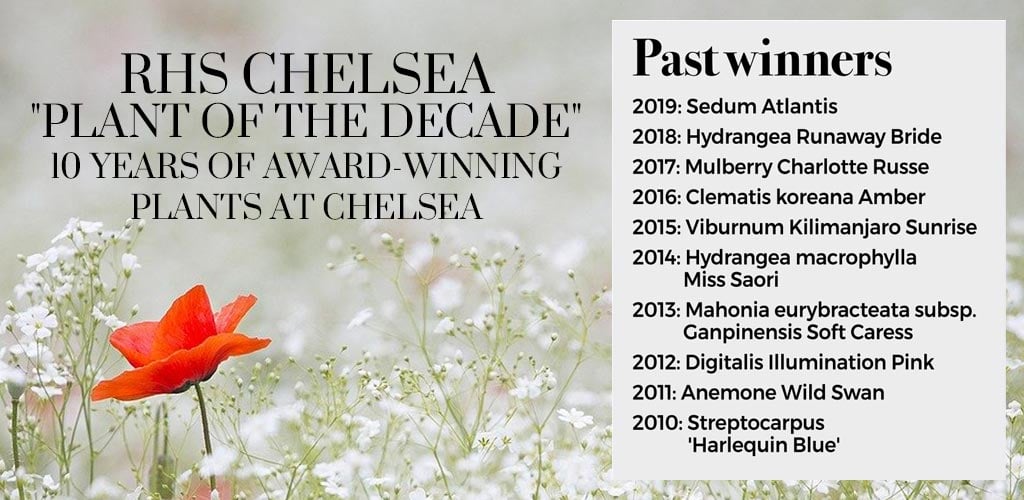 RHS Chelsea Page