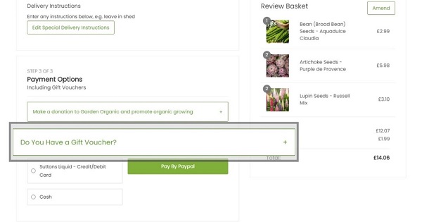 Progress to Payment options in the checkout