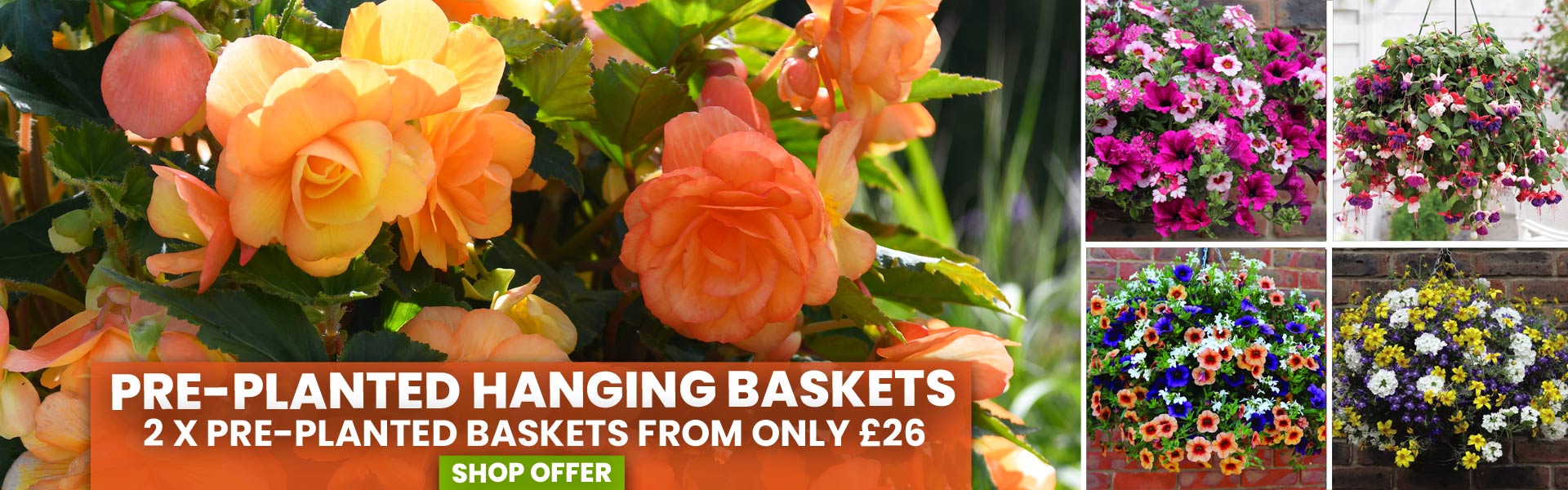 Mix & Match Pre-Planted Baskets