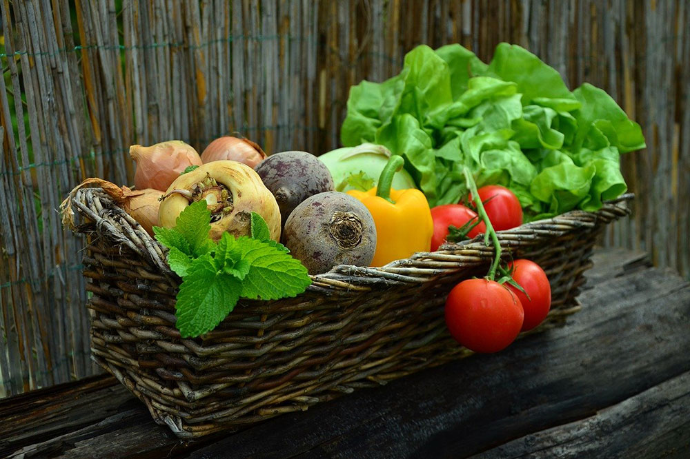 All Vegetable Seeds