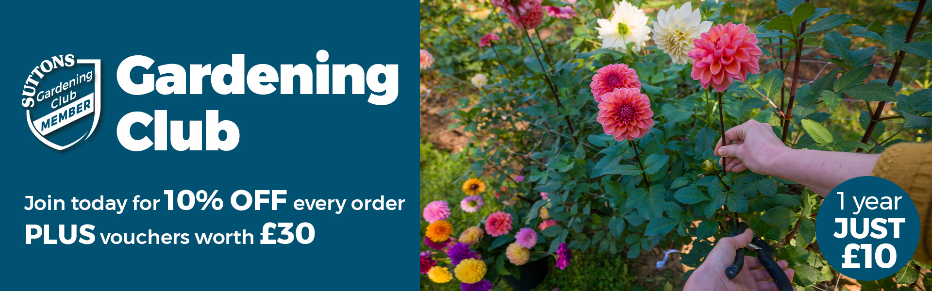 Gardening Club