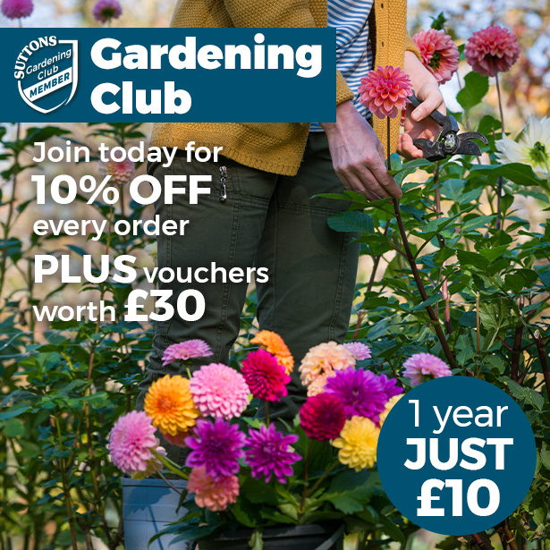 Gardening Club