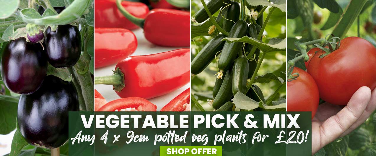 Veg Mix