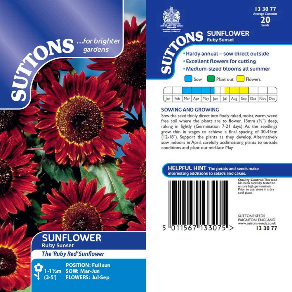Suttons Flowers sunflower ruby sunset flower bee freindly sutton ...