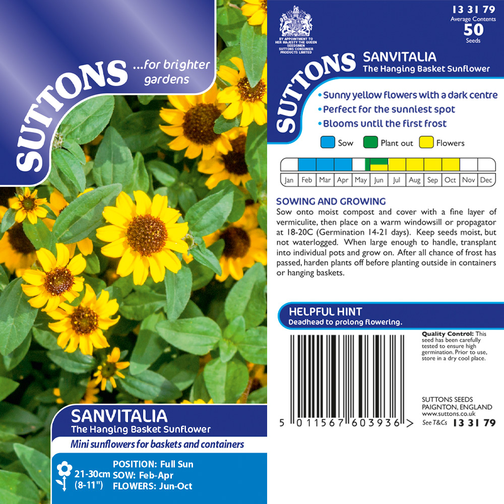 Hanging basket seeds deals