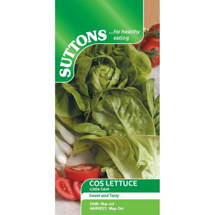 Little Gem Lettuce Seeds