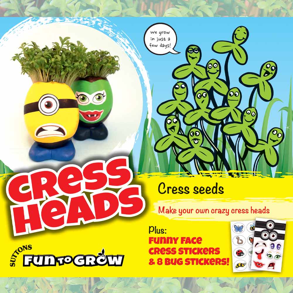 How to Grow Your Own Cress Egg Heads