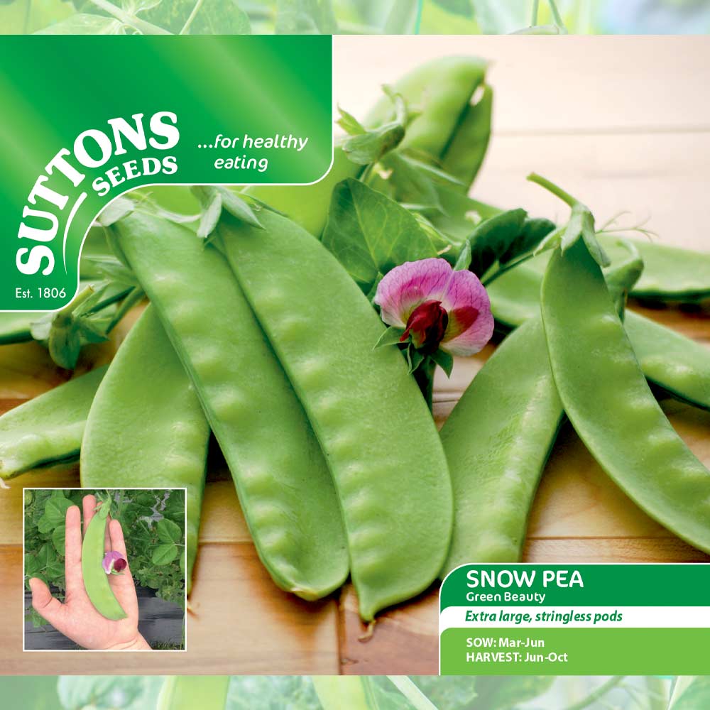 Snow Pea Seeds Green Beauty Suttons