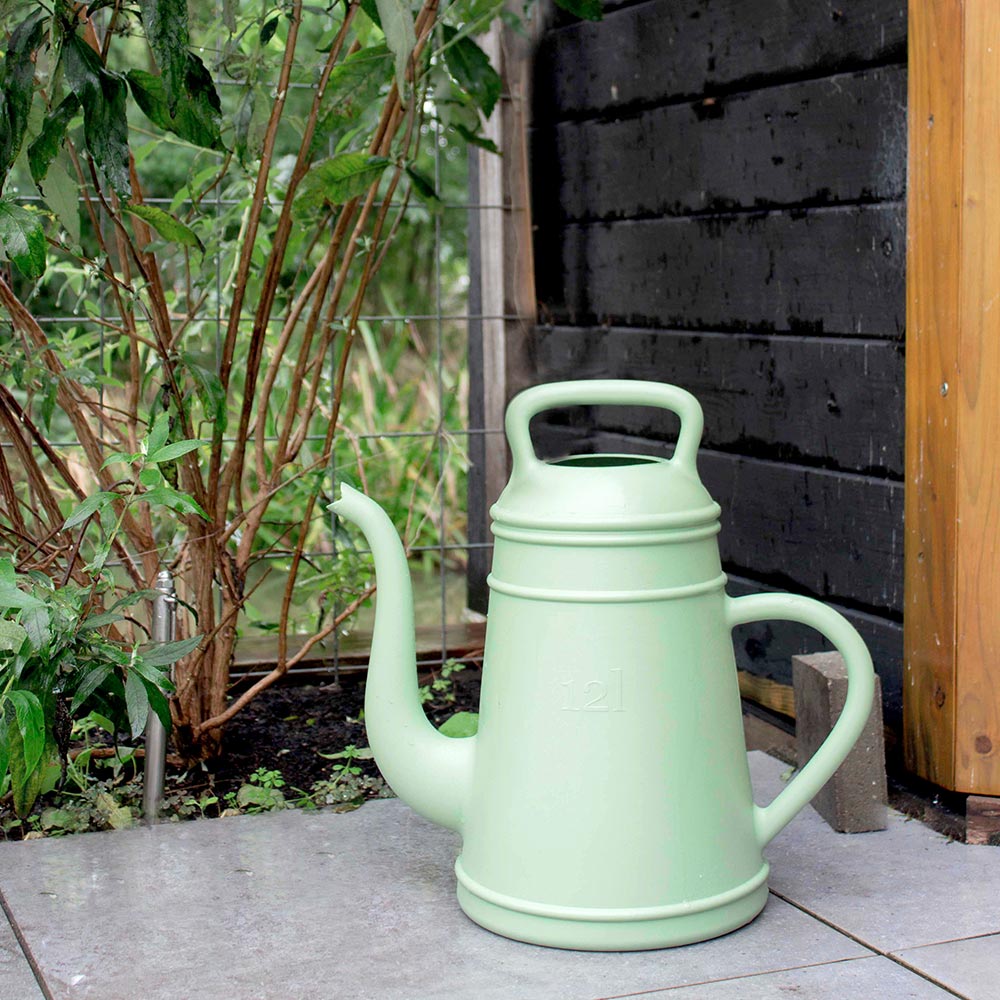 Succulents Seeds and Herbs Gardeners Supply Company Copper Indoor Watering Can for Houseplants 