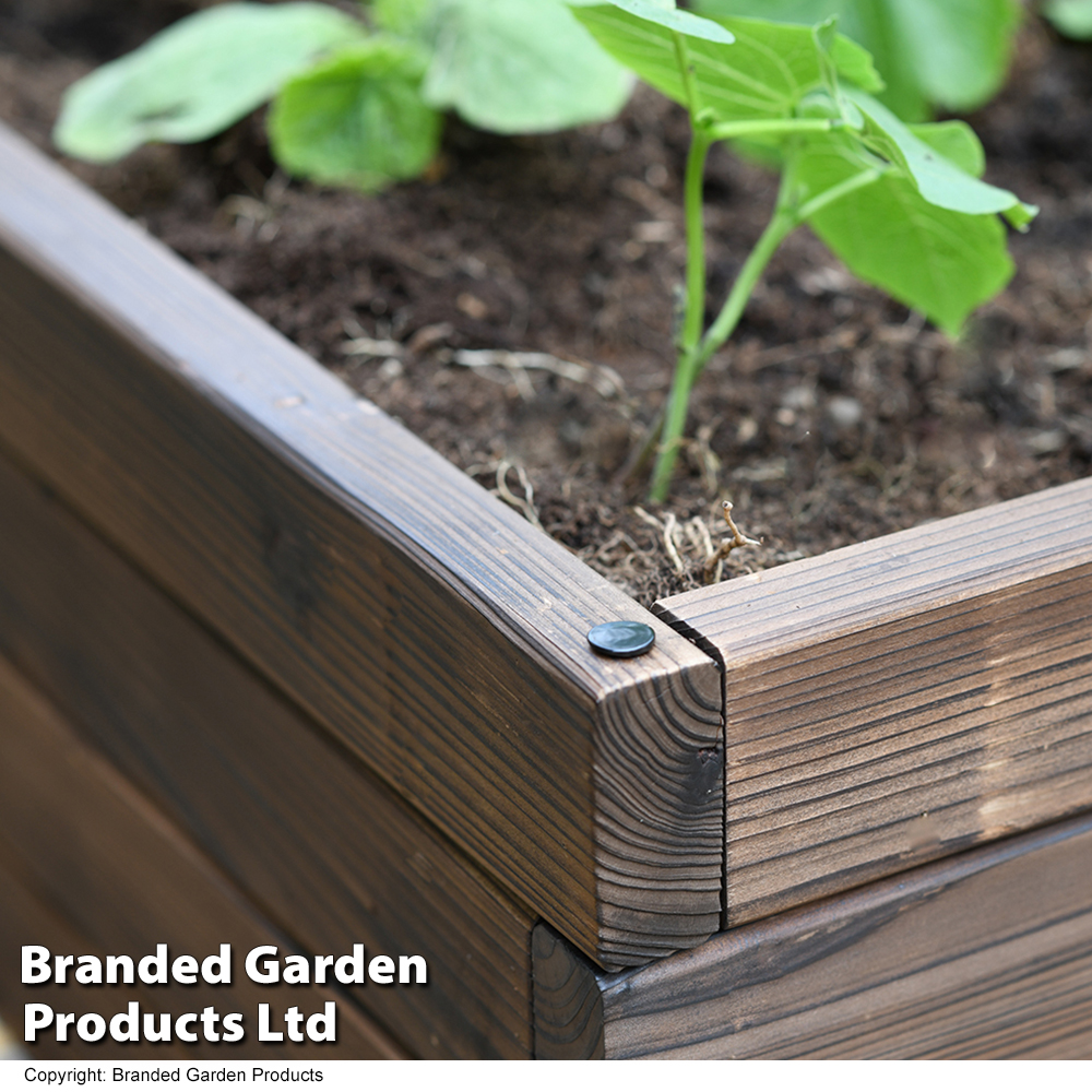 Garden Life Wooden Raised Garden Bed | Suttons