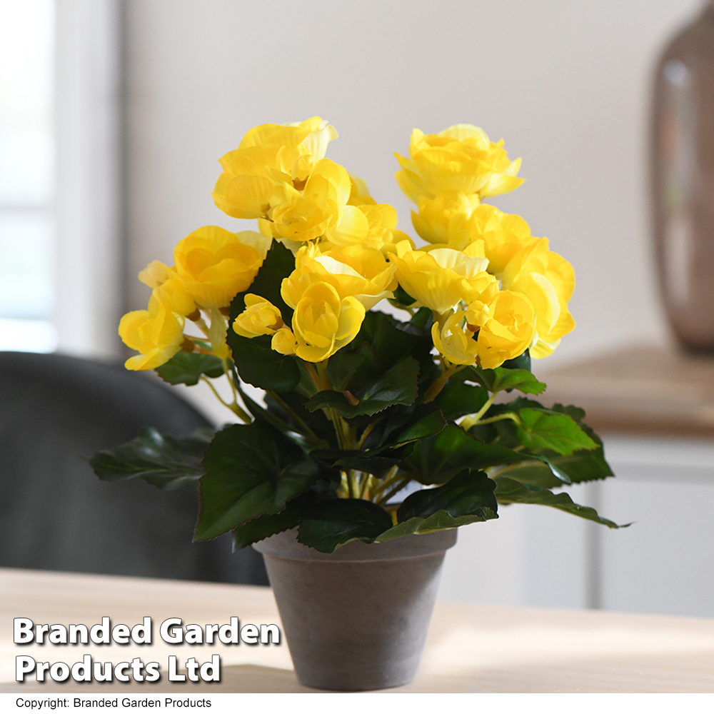 Artificial Begonia Yellow in Grey Pot from Suttons