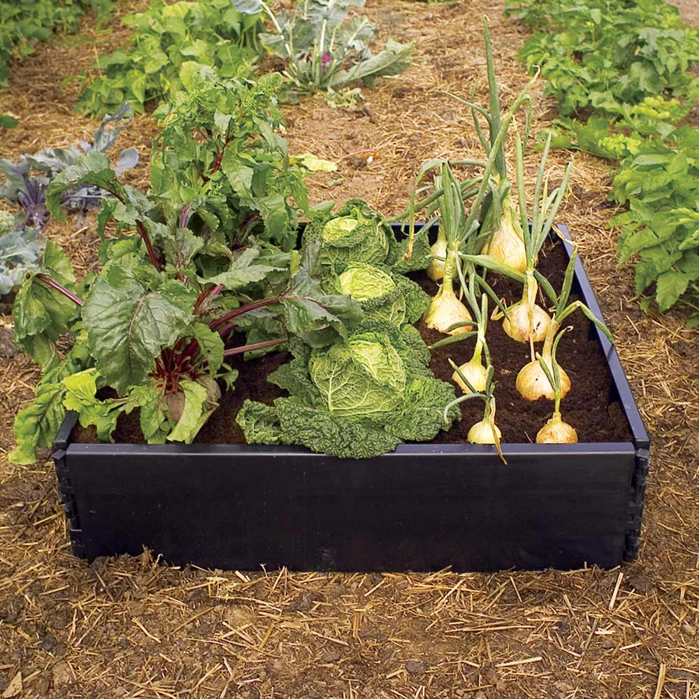 Image of Suttons Raised Bed Kit
