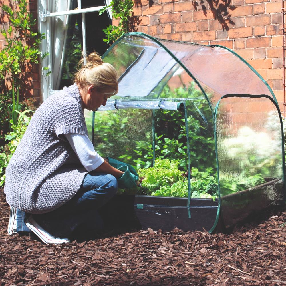 Image of Suttons raised bed greenhouse cover