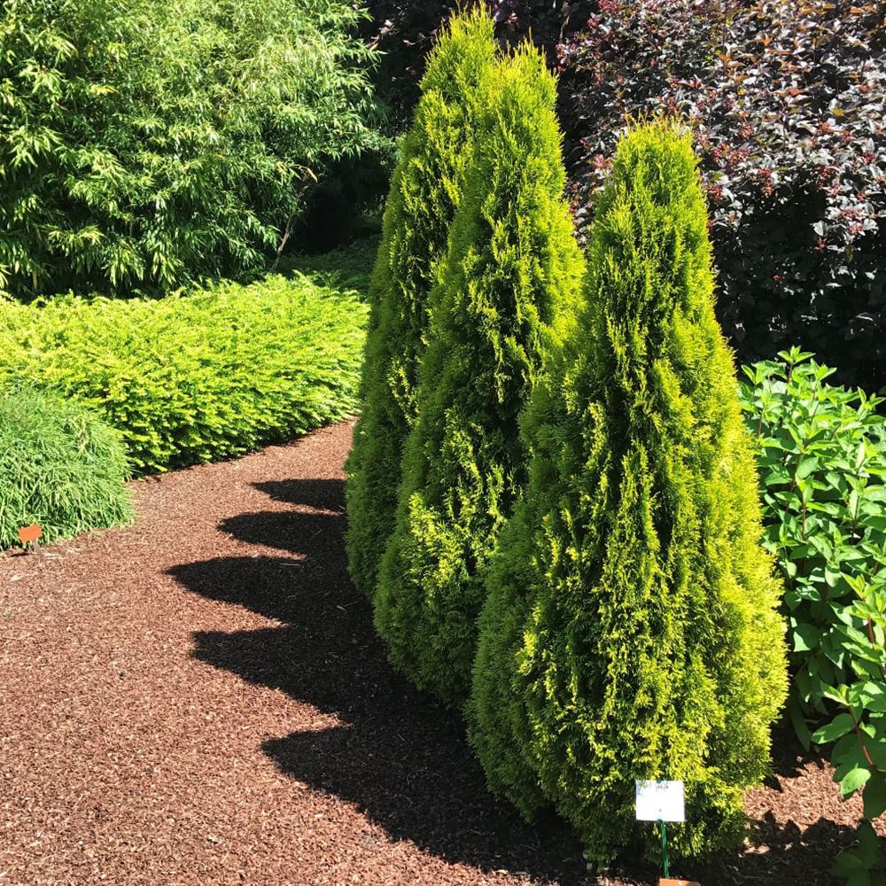 blumenübertöpfe für zimmerpflanzen Übertopf Natur aus Bio-Faser kaufen main image 1