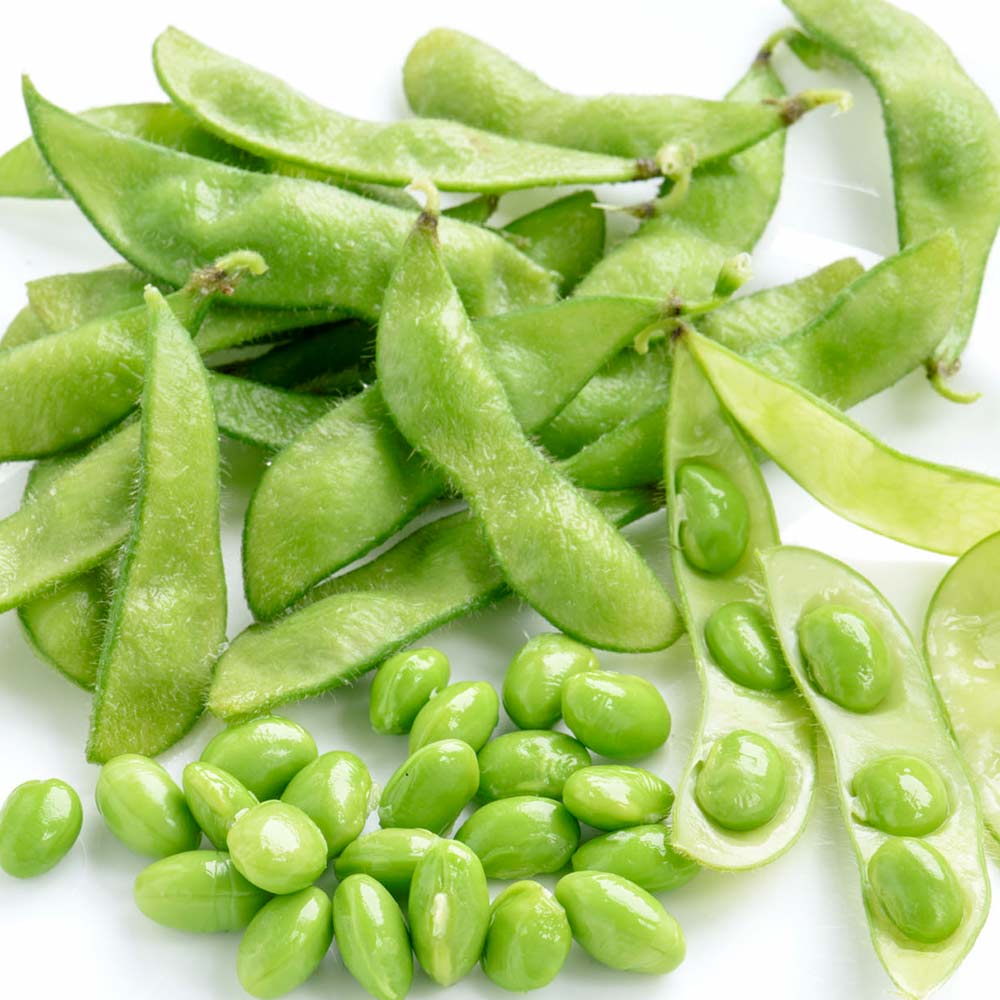 Bean Soya Seeds - Edamame | Suttons