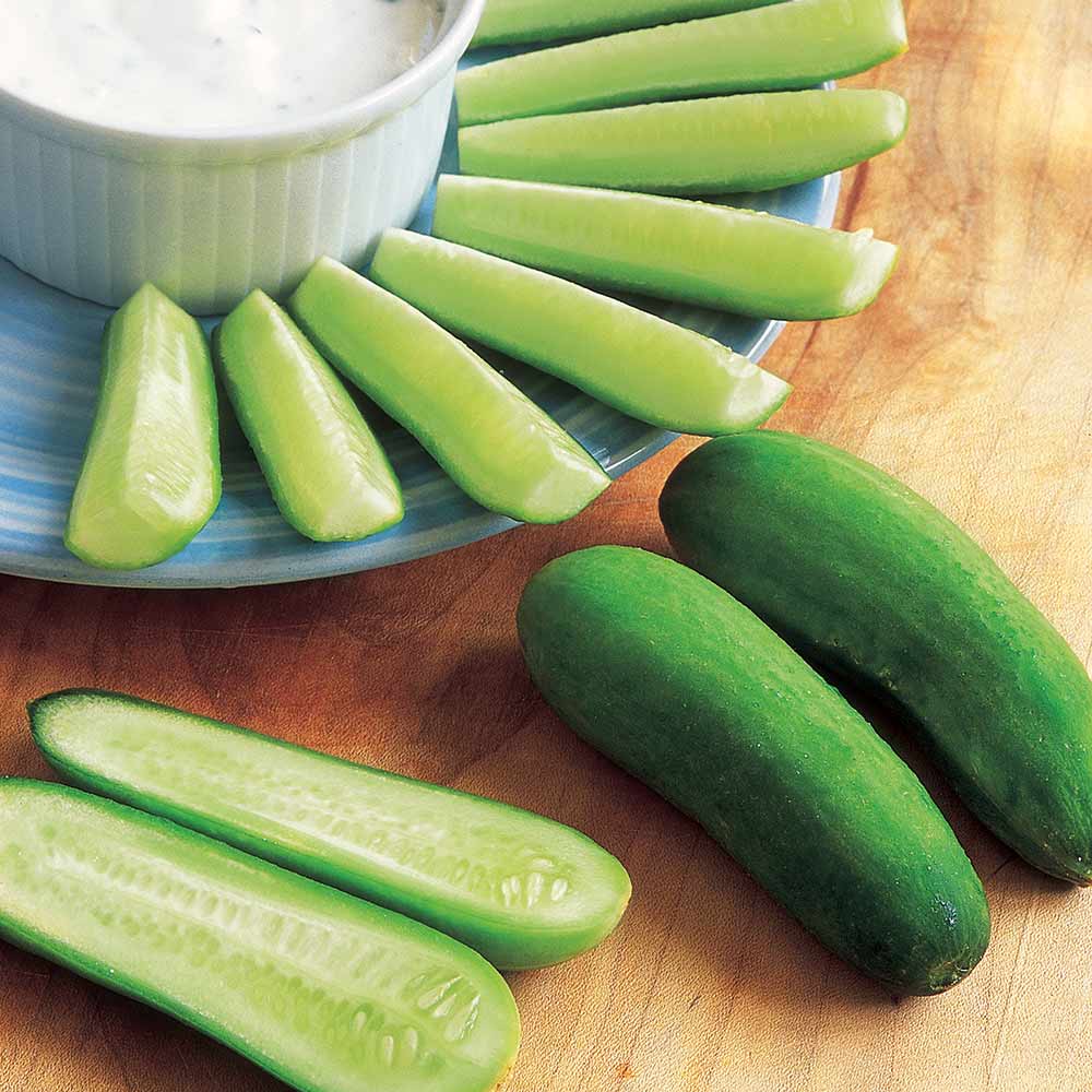 cucumber-for-babies-ubicaciondepersonas-cdmx-gob-mx