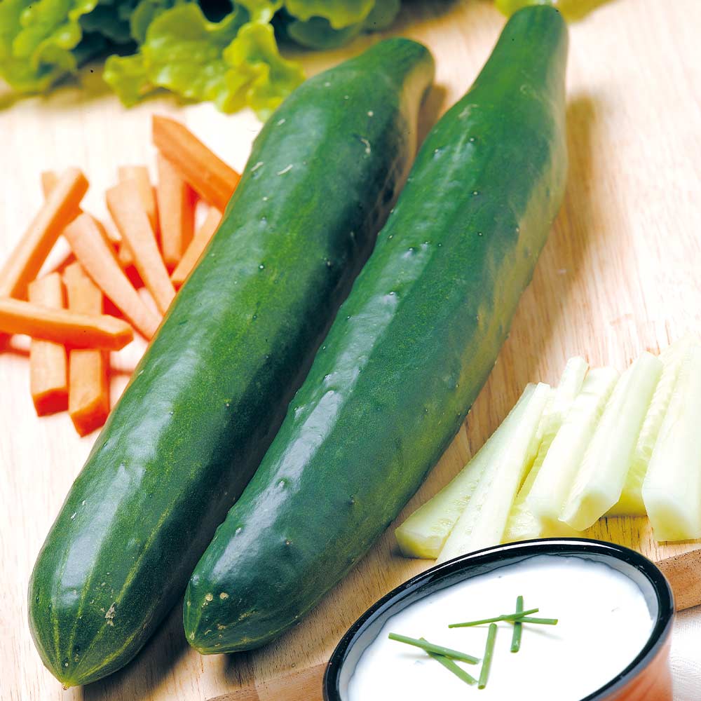 English Cucumber - Telegraph Improved - 20 Seeds