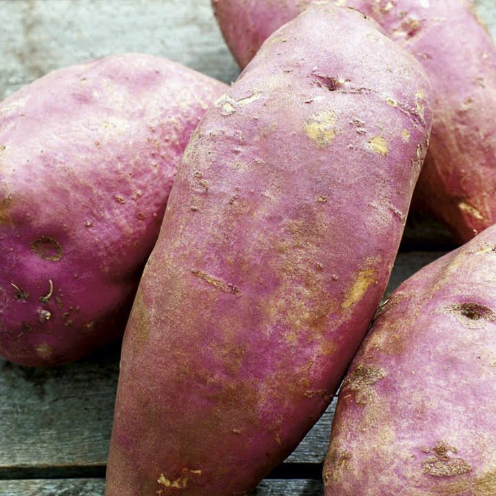 murasaki sweet potato murasaki sweet potato