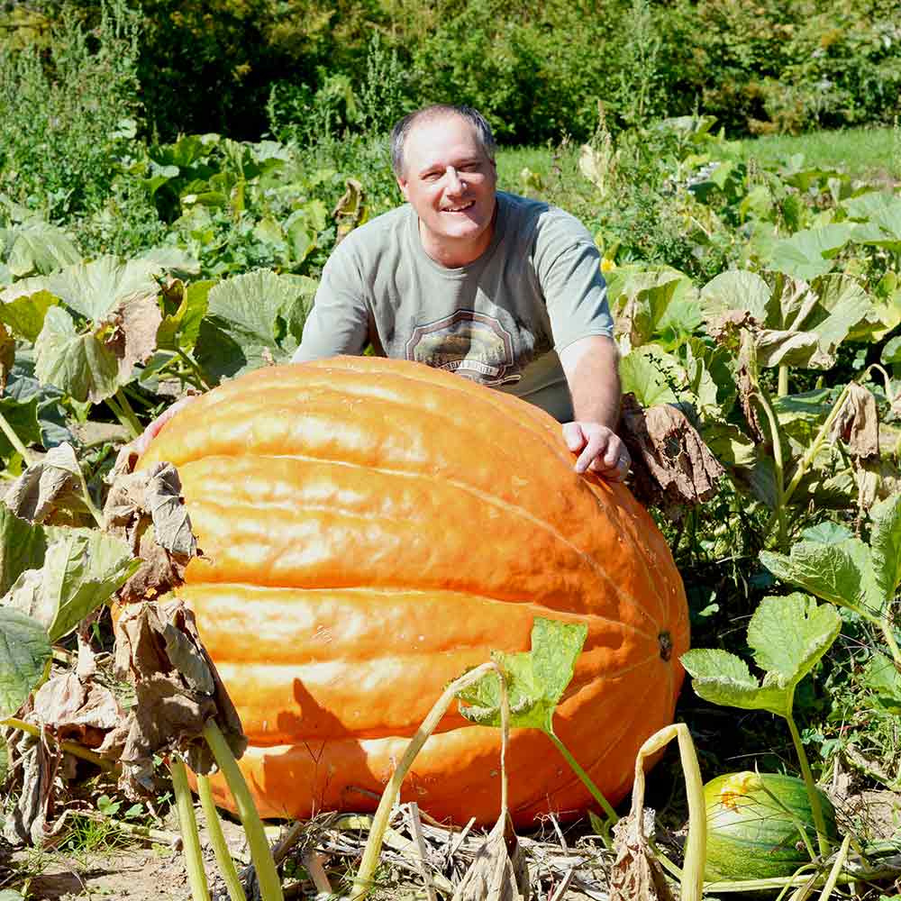 Makes Shopping Easy Pumpkin Seeds 25 DILL'S ATLANTIC GIANT PUMPKIN ...