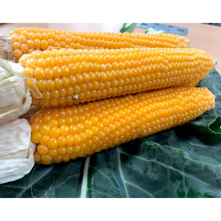 Sweetcorn 'Snobaby'...