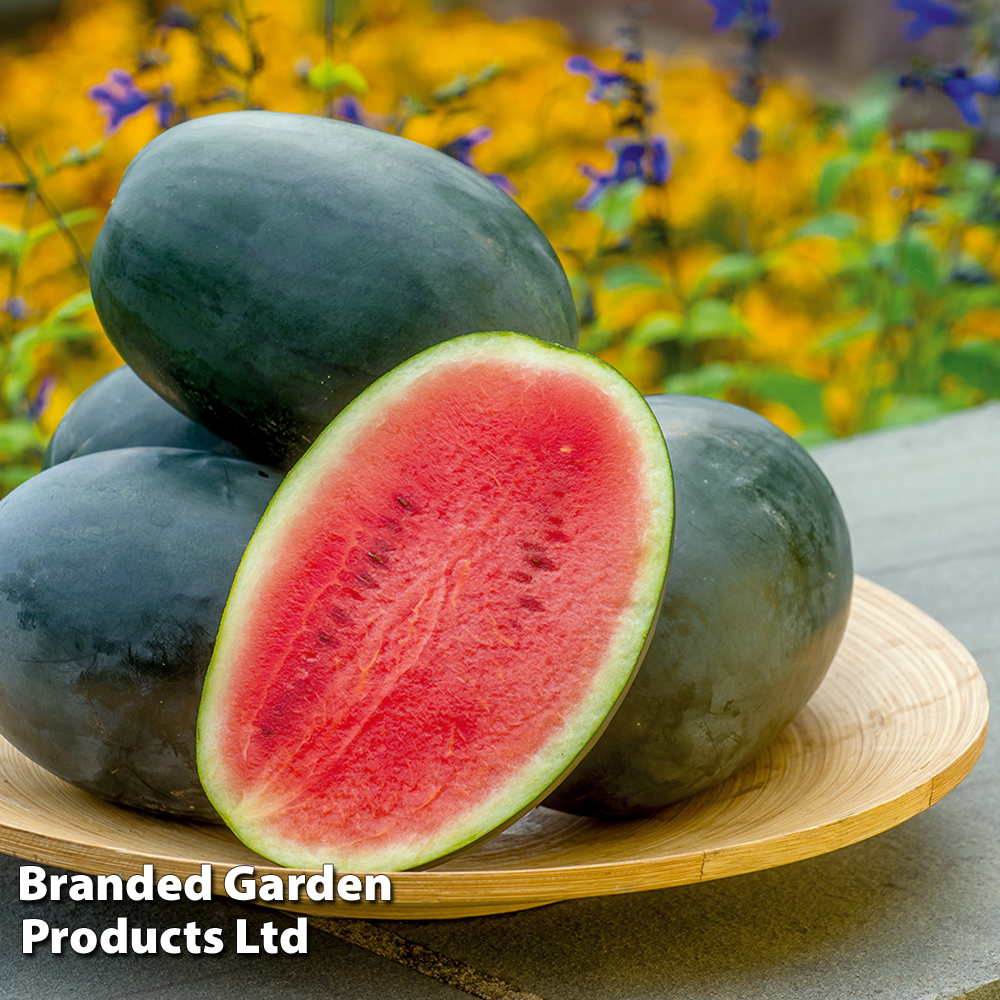 Fruit seeds sales
