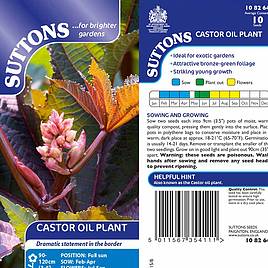 Castor Oil Plant - Seeds