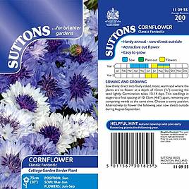 Cornflower Classic Fantastic - Seeds