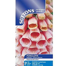Digitalis Suttons Apricot - Seeds