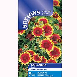 Gaillardia Goblin - Seeds