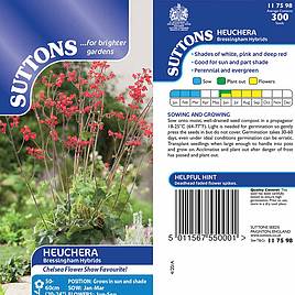Heuchera Bressingham Hybrids - Seeds
