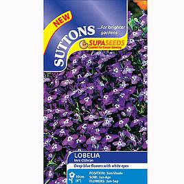 Lobelia Mrs Clibran (Bush Variety) - Seeds