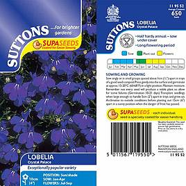 Lobelia Crystal Palace - Seeds
