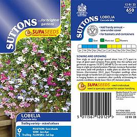 Lobelia Cascade Mix - Seeds