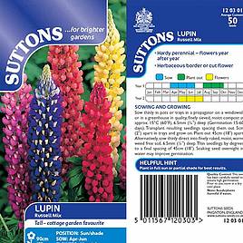 Lupin Russell Mix - Seeds