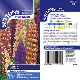 Lupin Gallery Mix - Seeds